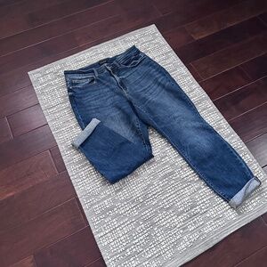 Judy Blue Boyfriend Jeans | Size 14W | Stretch | Like New